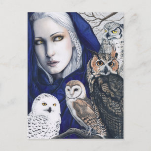 Wisdom Owls Shaman Fantasy Postcard Postkarte