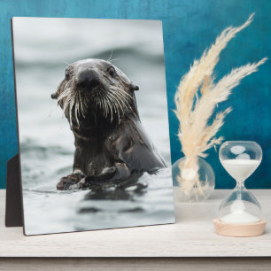 Wise Otter Fotoplatte