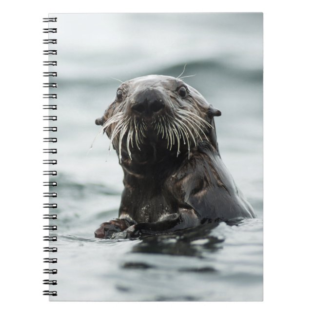 Wise Otter Notizblock (Vorderseite)