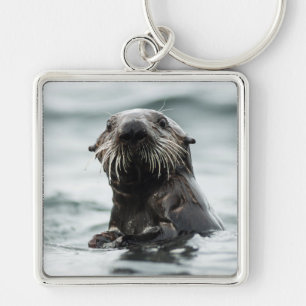 Wise Otter Schlüsselanhänger