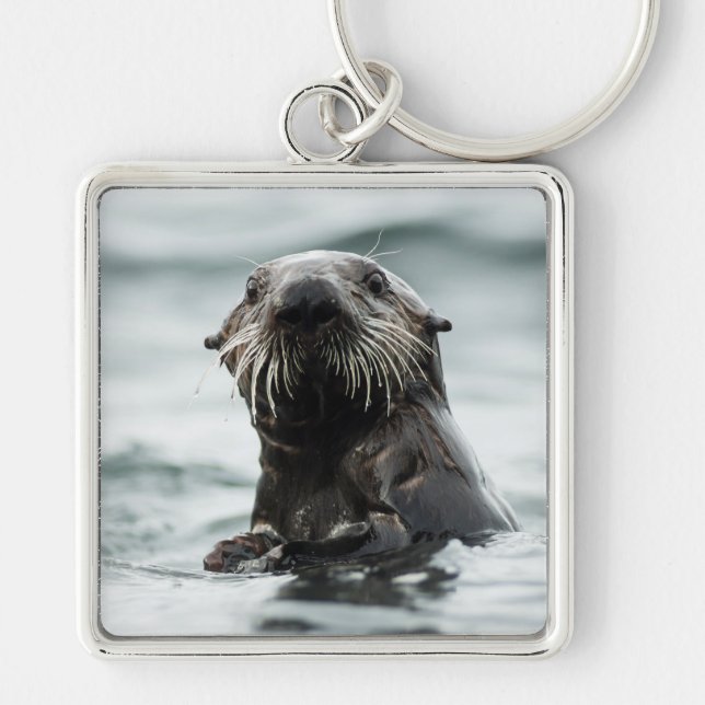 Wise Otter Schlüsselanhänger (Vorne)