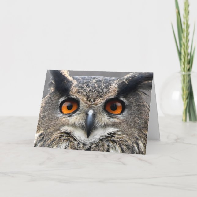 Wise Owl Fotograf Karte (Vorderseite)