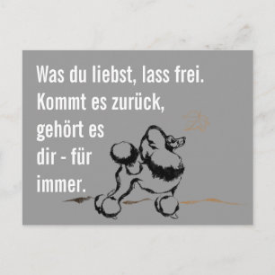 Wise Poodle Postkarte