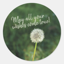 Wises Come True Dandelion
