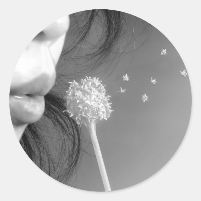 Wish Runder Aufkleber (Vorderseite)