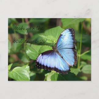 Wish you the best day ever! postkarte