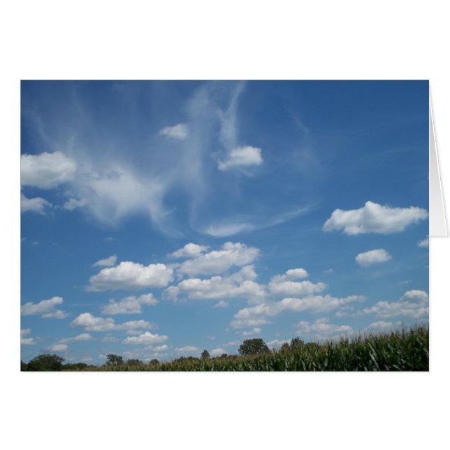 Wisp-ery Day (Vorderseite (Horizontal))