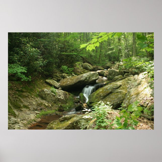 Wispering Falls Poster (Vorne)