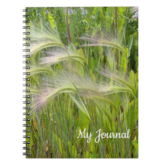 Wispy Green Prairie Grass Foto Spiral Notebook Notizblock (Vorderseite)