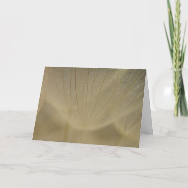 Wispy weiße Blume Karte (Vorderseite)