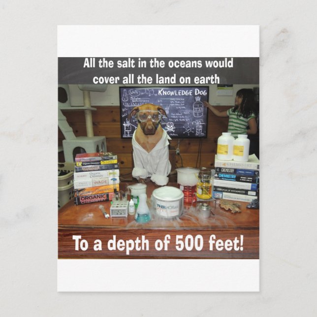 Wissen Hunde Salz in den Ozeanen Postkarte (Vorderseite)