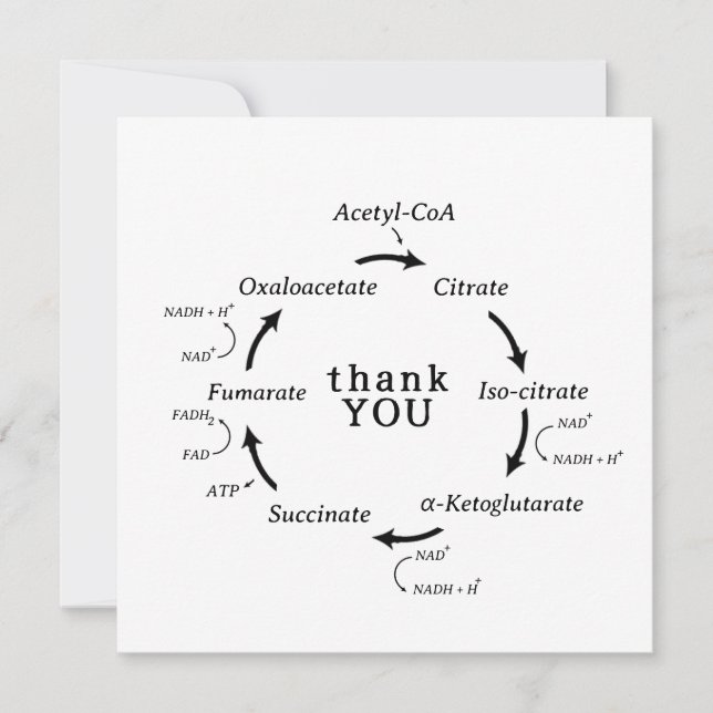 Wissenschaft danke Ihnen Lehrer Krebs Zyklusbiolog (Vorderseite)