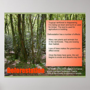 Wissenschaft und Wissenschaft Entwaldung Poster