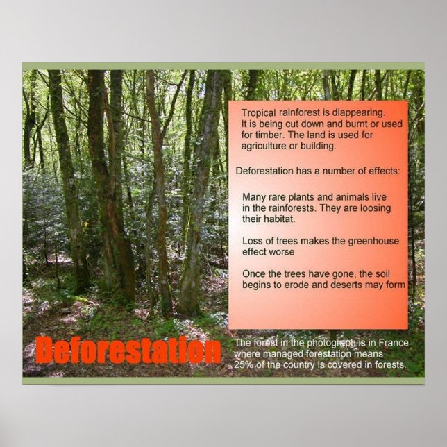 Wissenschaft und Wissenschaft Entwaldung Poster (Vorne)