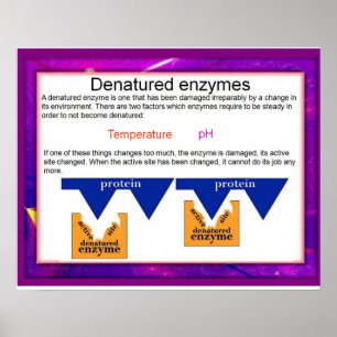 Wissenschaft, Verdauung, vergessene Enzyme Poster