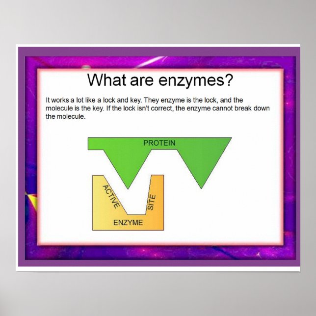 Wissenschaft, was sind Enzyme? Poster (Vorne)