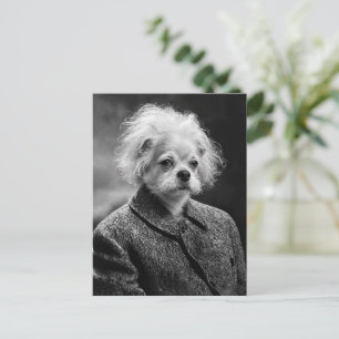 Wissenschaftlerhund mit wildem Haar in einem Vinta Postkarte