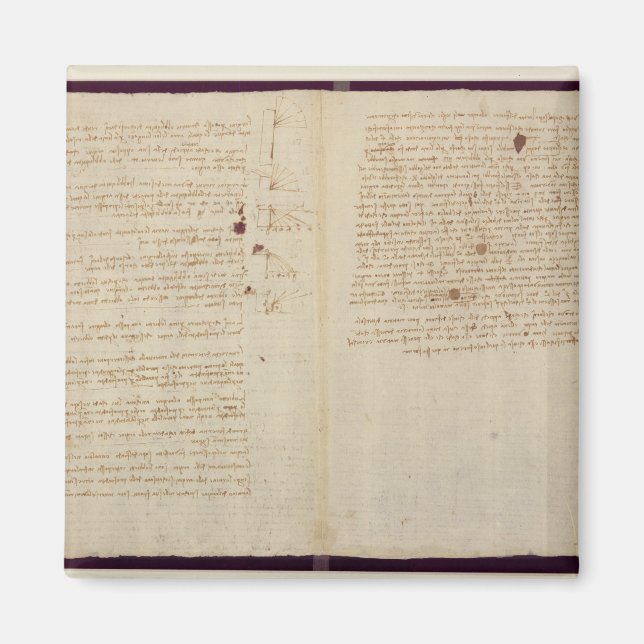 Wissenschaftliche Diagramme Magnet (Vorne)