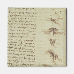 Wissenschaftliche Diagramme Magnet