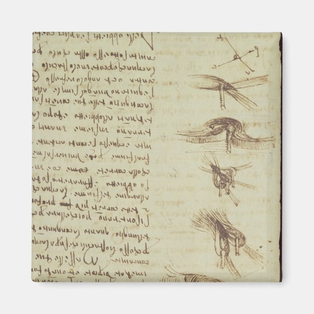 Wissenschaftliche Diagramme Magnet (Vorne)