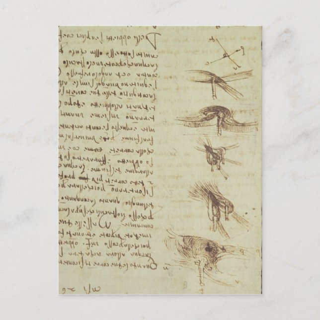 Wissenschaftliche Diagramme Postkarte (Vorderseite)