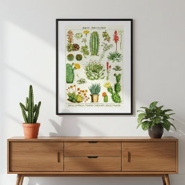 Wissenschaftliche Grafik von Kakteen und Sukkulent Poster