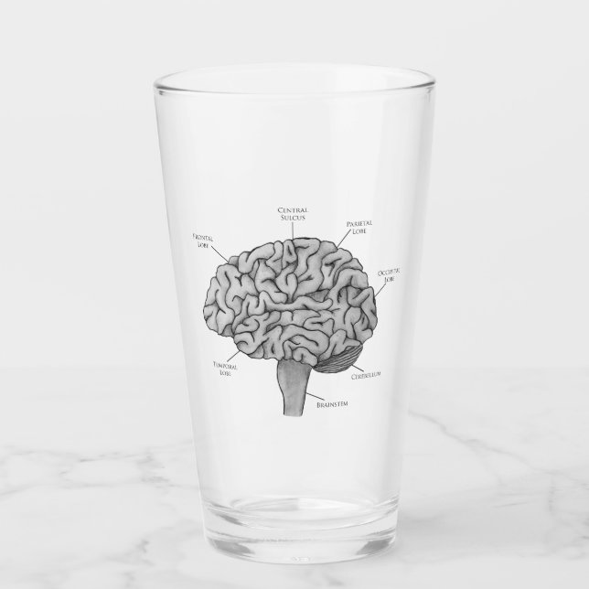 Wissenschaftliches Gehirn Glas (Vorderseite)
