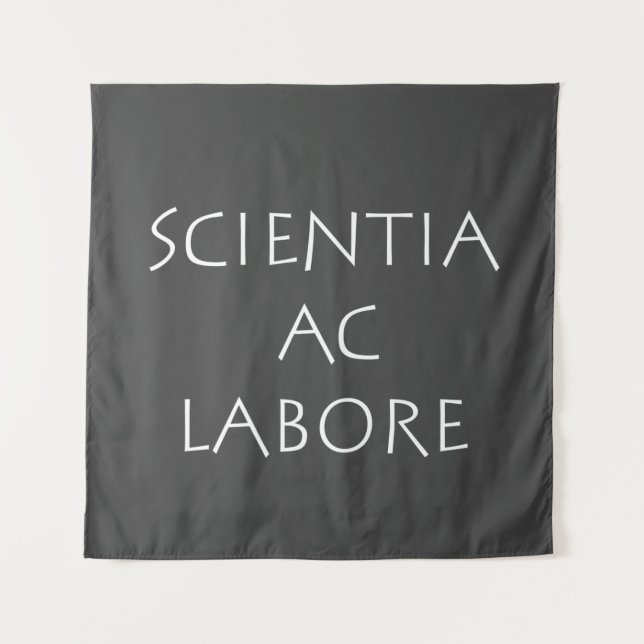 Wissenschaftliches Laboratorium Wandteppich (Vorderseite)