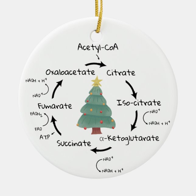 Wissenschaftsbiologie Krebs Zyklus Weihnachtslehre Keramik Ornament (Vorne)