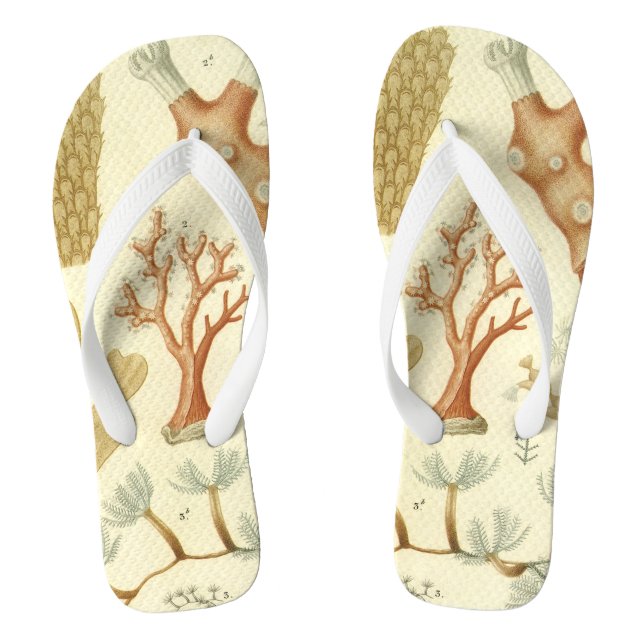 Wissenschaftslehrbuch Biologie, Vintage Korallenti Flip Flops (Fußbett)
