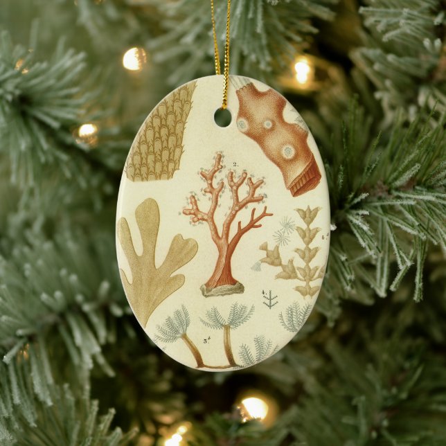 Wissenschaftslehrbuch Biologie, Vintage Korallenti Keramikornament (Baum)