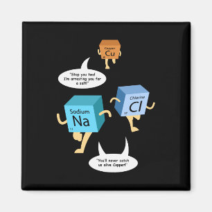 Wissenschaftslehrer Nerd Gag Magnet