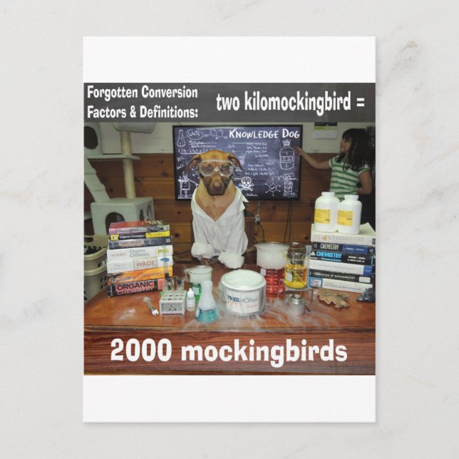 Wissenshund Vergessene Umwandlung kilomockingbird Postkarte (Vorderseite)