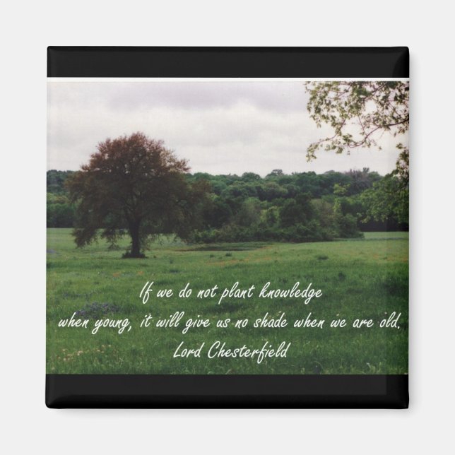 Wissensmagazin Magnet (Vorne)