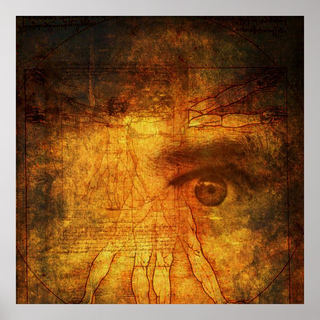 Wissenssuche Poster (Vorne)