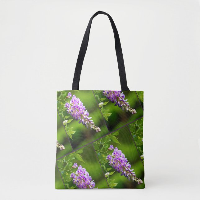 Wisteria (Vorderseite)