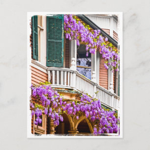 Wisteria auf einer Vintagen Südlichen Zuhause in S Postkarte