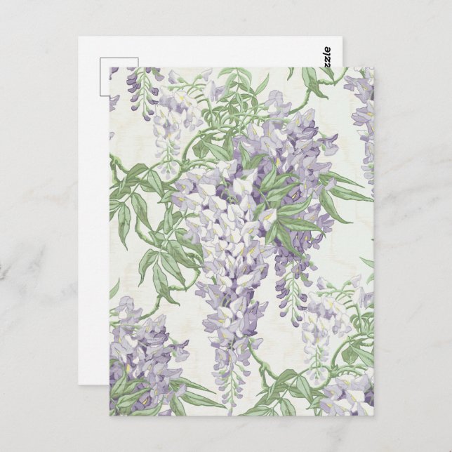 Wisteria Blossom Light Blue und Lavender Patterns Postkarte (Vorne/Hinten)