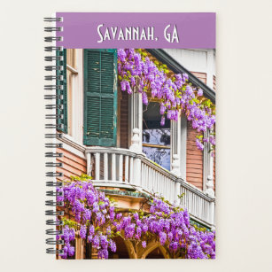 Wisteria Blossoms - Savannah GA - Foto für Reisen Planer