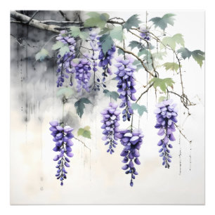 Wisteria Blume Natur Fotodruck