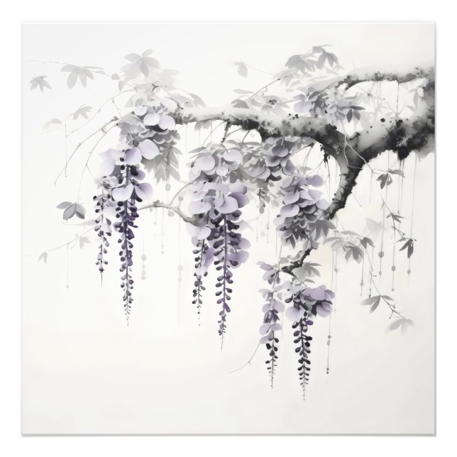 Wisteria Blume Tintenzeichnung Fotodruck (Vorne)