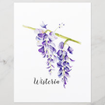 Wisteria Botanische Schriftzüge