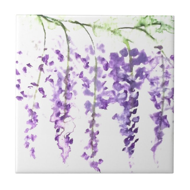 Wisteria Botanische violette Blumen Fliese (Vorderseite)