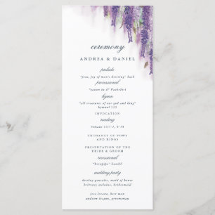 Wisteria Dream Programm