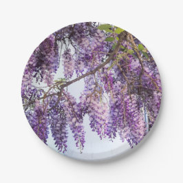 Wisteria-Duschen-Papier-Teller Pappteller