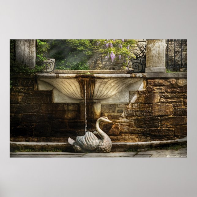 Wisteria - Fossilienmuseum Poster (Vorne)