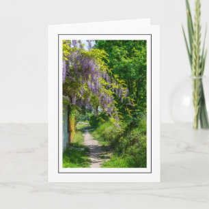 Wisteria grellcard karte