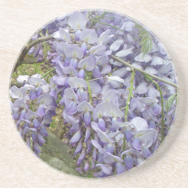 Wisteria im Wald Sandstein Untersetzer (Vorne)