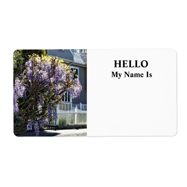 Wisteria in Bloom (Vorne)