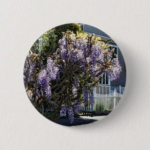 Wisteria in Bloom Button